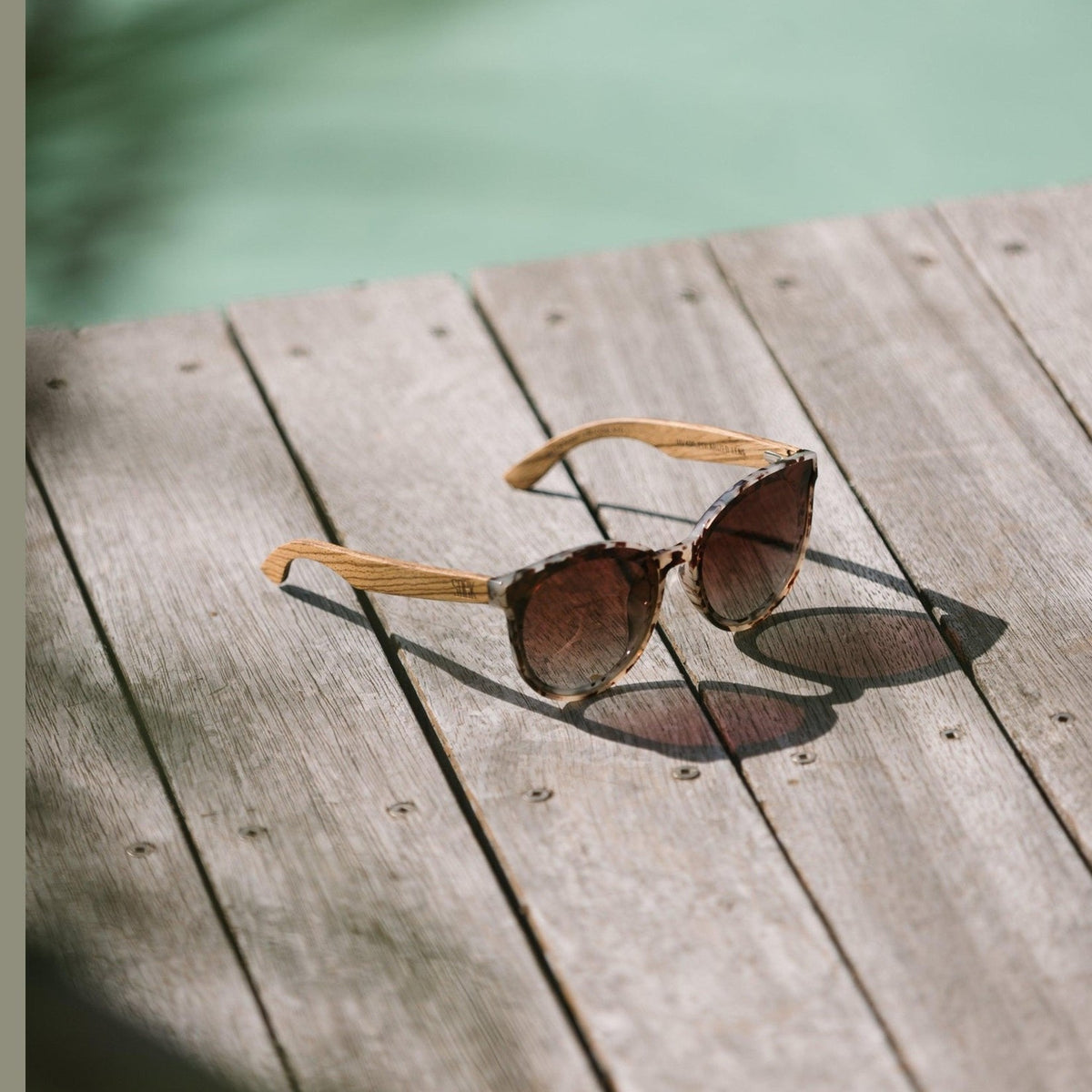Bella Ivory Tortoise - Thirsdaze